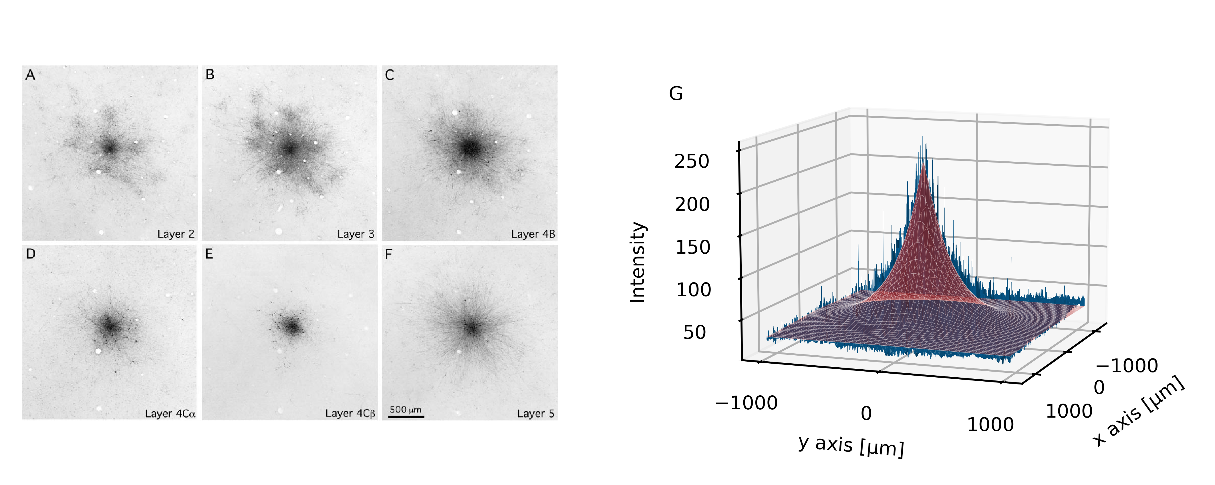 Phenomenological modeling of diverse and heterogeneous synaptic dynamics at natural density